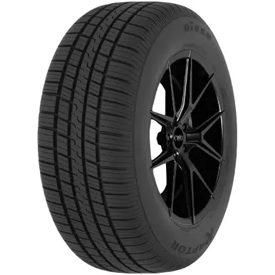 225/55R17 Riken Raptor HR 97H SL Black Wall Tire 126998 Clearance