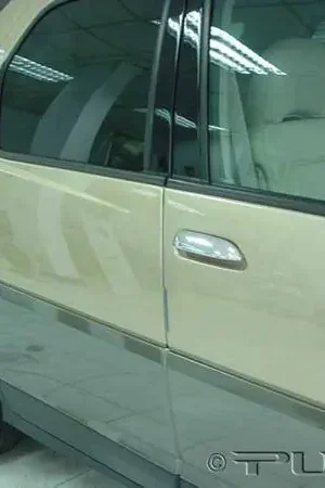 Trusted Brand Buick Rendezvous Putco Door Handle Covers - 400038