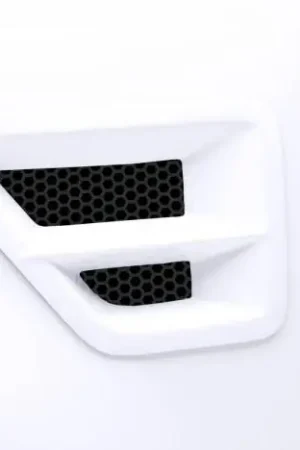 Ford F150 3dCarbon Type I Front Fender Vent with Grille & Horizontal Cross Bar- Pair - 691106 Latest