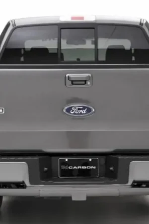 Ford F150 3dCarbon Rear Lower Skirt - 691564 Flash Sale