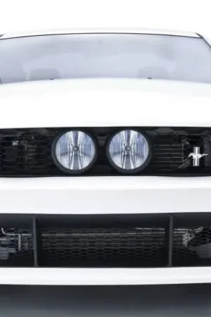 Buy Online Ford Mustang 3dCarbon E-Style Grille - 691039