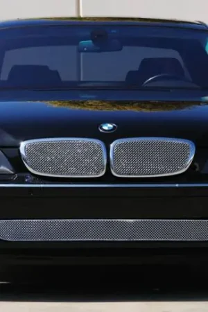 Factory Price BMW 7 Series T-Rex Sport Series Formed Stainless Steel Mesh Grille with thin SS Frame - Triple Chrome Plated - 2PC - 44999