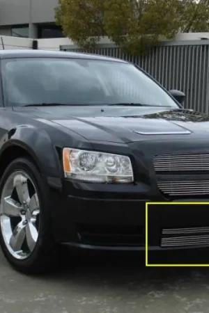 While Supplies Last Dodge Magnum T-Rex Bumper Billet Grille Insert - 2PC - 25462