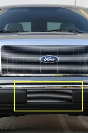Reduced Price Ford F150 T-Rex Bumper Billet Grille Insert - 25569