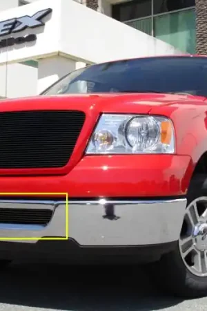 Factory Price Ford F150 T-Rex Bumper Billet Grille Insert - All Black - 25552B