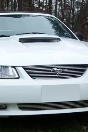 Ford Mustang T-Rex Billet Grille Insert - 10 Bars - 20510 Cheap