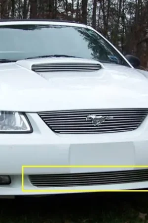 Reduced Price Ford Mustang T-Rex Bumper Billet Grille Insert - 6 Bars - 25511