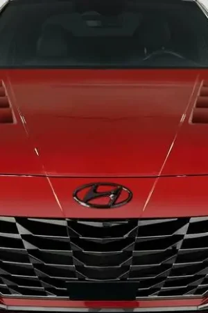 Hyundai Elantra Kima Duraflex Body Kit- Hood 118922 Viral