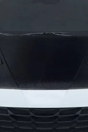 Fan Favorite Hyundai Elantra Kima Carbon Fiber Creations Body Kit- Hood 118923