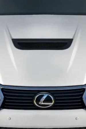 Lexus GS Alpine Duraflex Body Kit- 2 Pcs Hood 119343 Final Sale