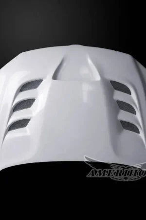 Dodge Ram 1500 VIP AmeriHood Body Kit- Ram Air Hood DR19AHVIPFHW Special Offer