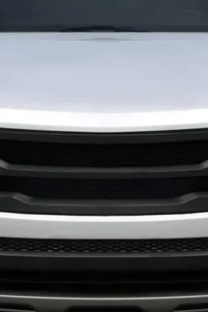 Hyundai Santa Fe Levan Duraflex Grill/Grille 118827 Price Drop