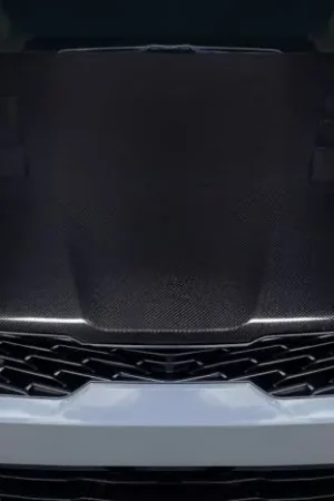 Kia K5 Vision Carbon Fiber Creations Body Kit- Hood 118919 One Day Deal