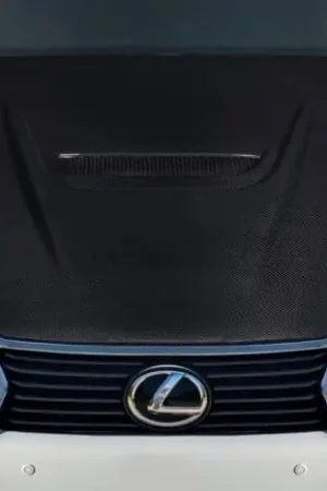Lexus GS Alpine Carbon Fiber Creations Body Kit- Hood 119344 Limited Offer
