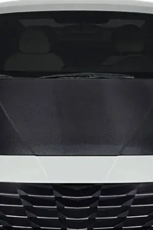 Modern Fits Hyundai Elantra OEM Look Carbon Fiber Creations Body Kit- Hood 120053