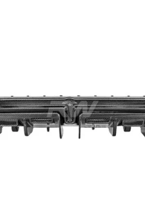 Authentic Audi R8 4S DTM Carbon Fiber Diffuser 2019+ audir815