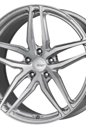 Professional Grade Work Gnosis Fmb02 5x112 19x9.5+42  Brush Silver Clear