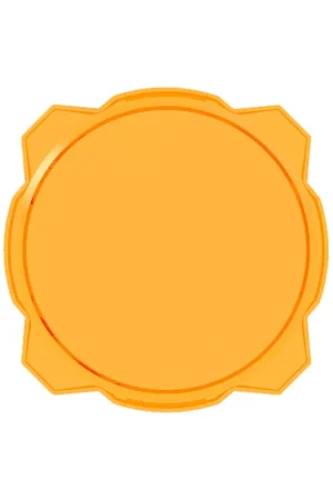 Best Price KC Shield Pro6 Gravity LED 6in Amber EA