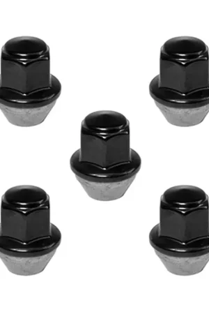 Ford Racing 15-17 Mustang Black Lug Nut Kit (5 Lug Nuts) Don’t Miss Out