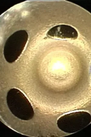 Price Cut DDP 94-98 Dodge Cummins 5.9L 12V Injector Set - Stage 1