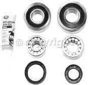 Time-Limited STONE GUARD