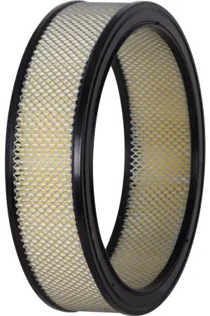 2009 Dodge Durango Air Filter PA99388 Direct From Manufacturer